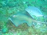 Pousada em Fernando de Noronha